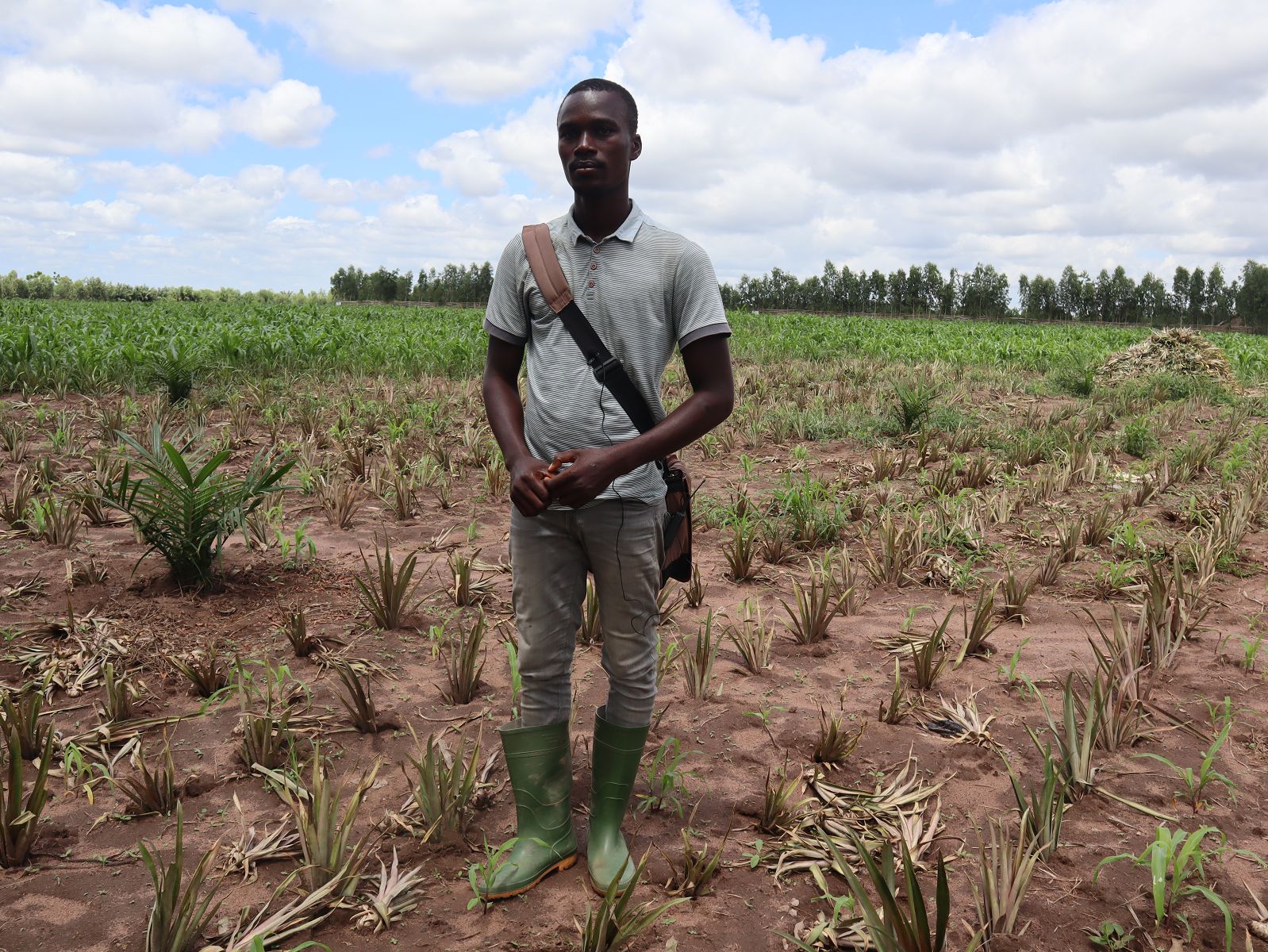Un producteur bénéficiaire du PACOFIDE en pleine opération de planting